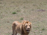 G45A1560 : Exodus2014