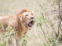 G45A1580 : Exodus2014