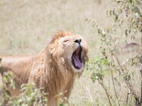 G45A1581 : Exodus2014