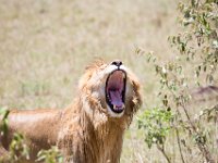 G45A1582 : Exodus2014