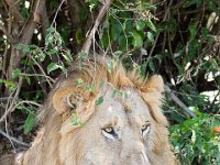 G45A1590 : Exodus2014