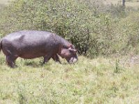 G45A1598 : Exodus2014