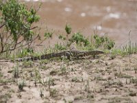 G45A1686 : Exodus2014