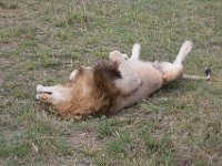 G45A1711 : Exodus2014