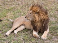 G45A1714 : Exodus2014