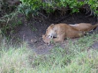 G45A1744 : Exodus2014