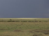 G45A1749 : Exodus2014