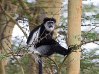 G45A1821 : Exodus2014