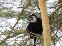 G45A1839 : Exodus2014