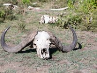 G45A1880 : Exodus2014