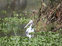 G45A1896 : Exodus2014