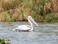 G45A1907 : Exodus2014