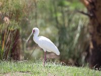 G45A1916 : Exodus2014