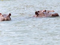 G45A1919 : Exodus2014