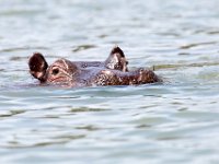 G45A1924 : Exodus2014