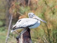 G45A1938 : Exodus2014